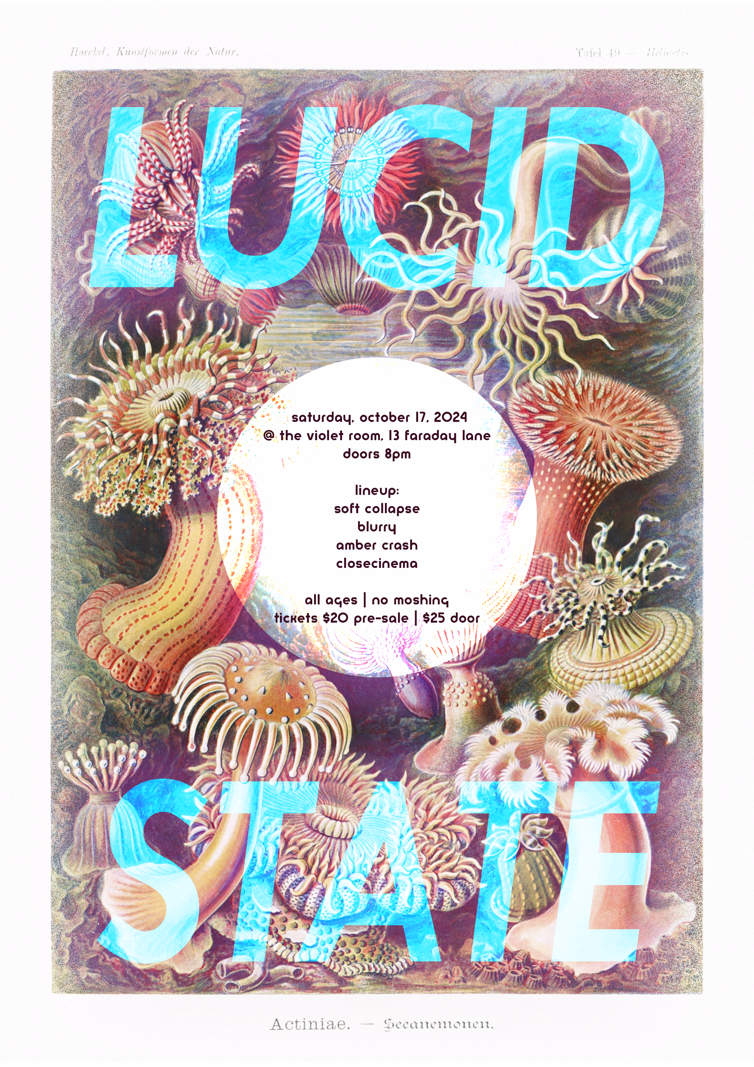 Lucid State Gig Poster